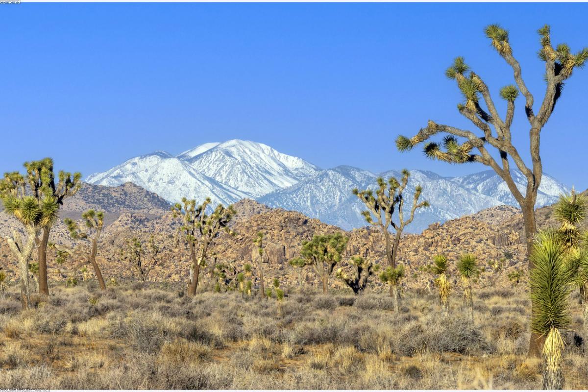 Wide view of arid Atlas valley