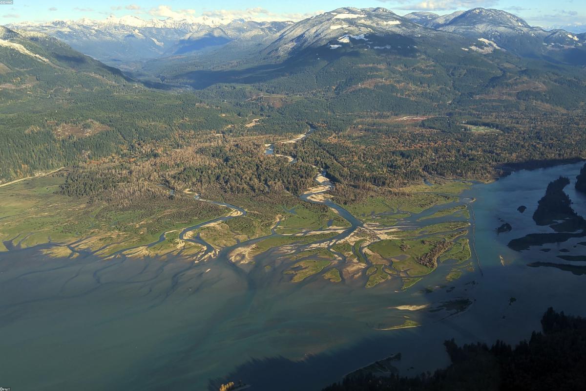 Wide view of delta channel at dawn