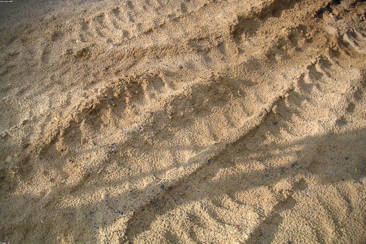Close view of sidewinder tracks in sand