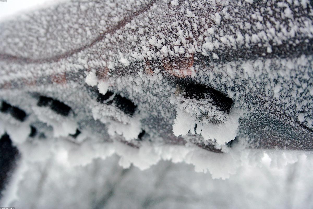 Frost on the back porch rail