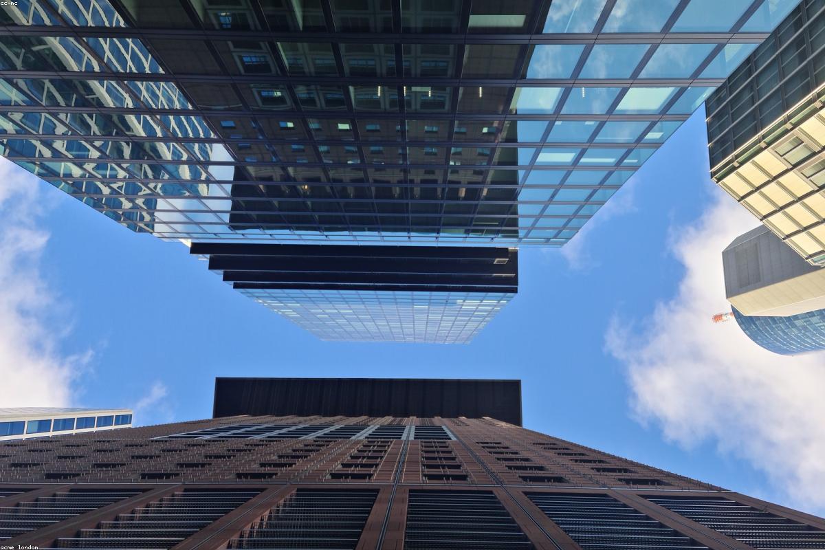 Main Tower from below with peregrine overhead