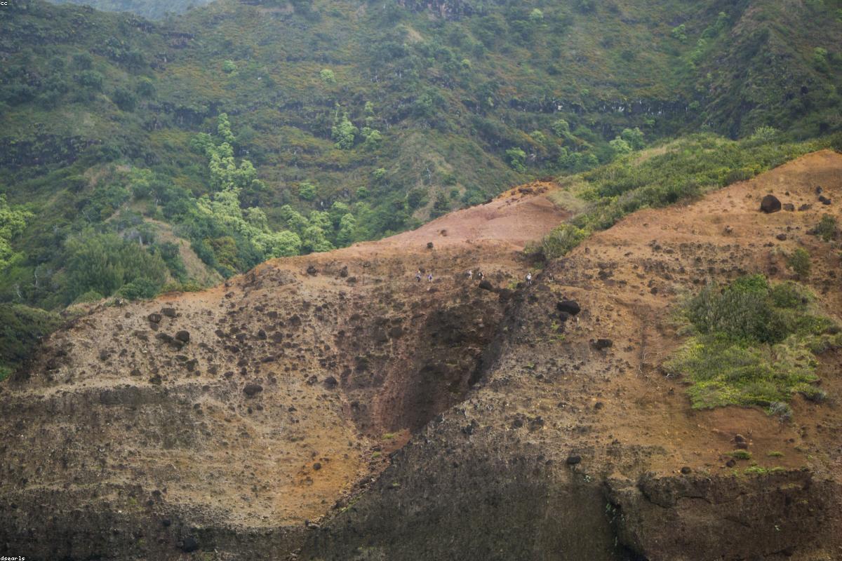Coast and lava rock