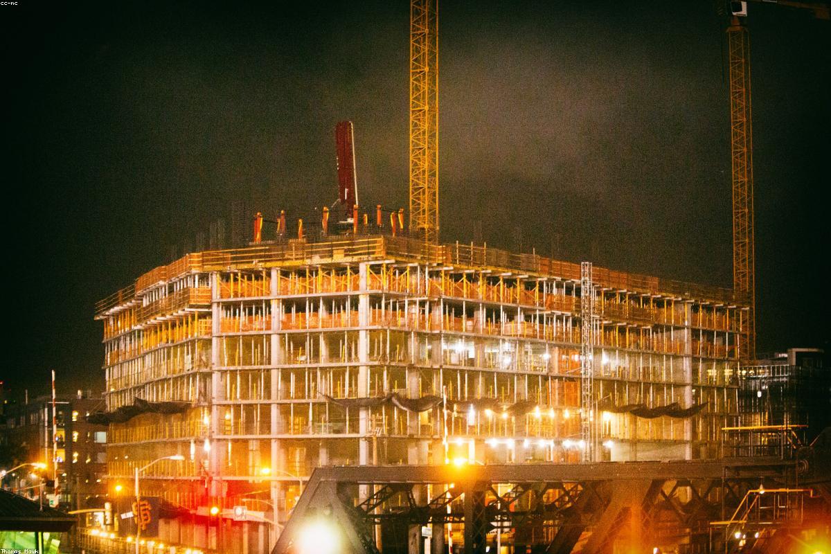 Crane roost on river