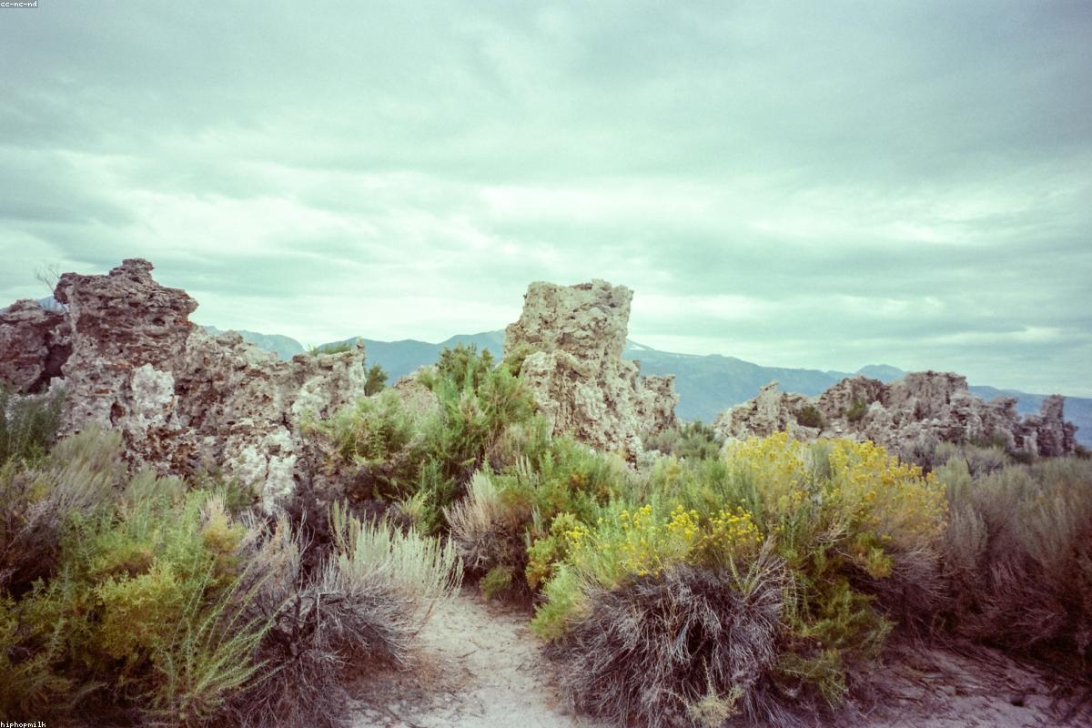 Mono lake tufa towers with mountain backdrop