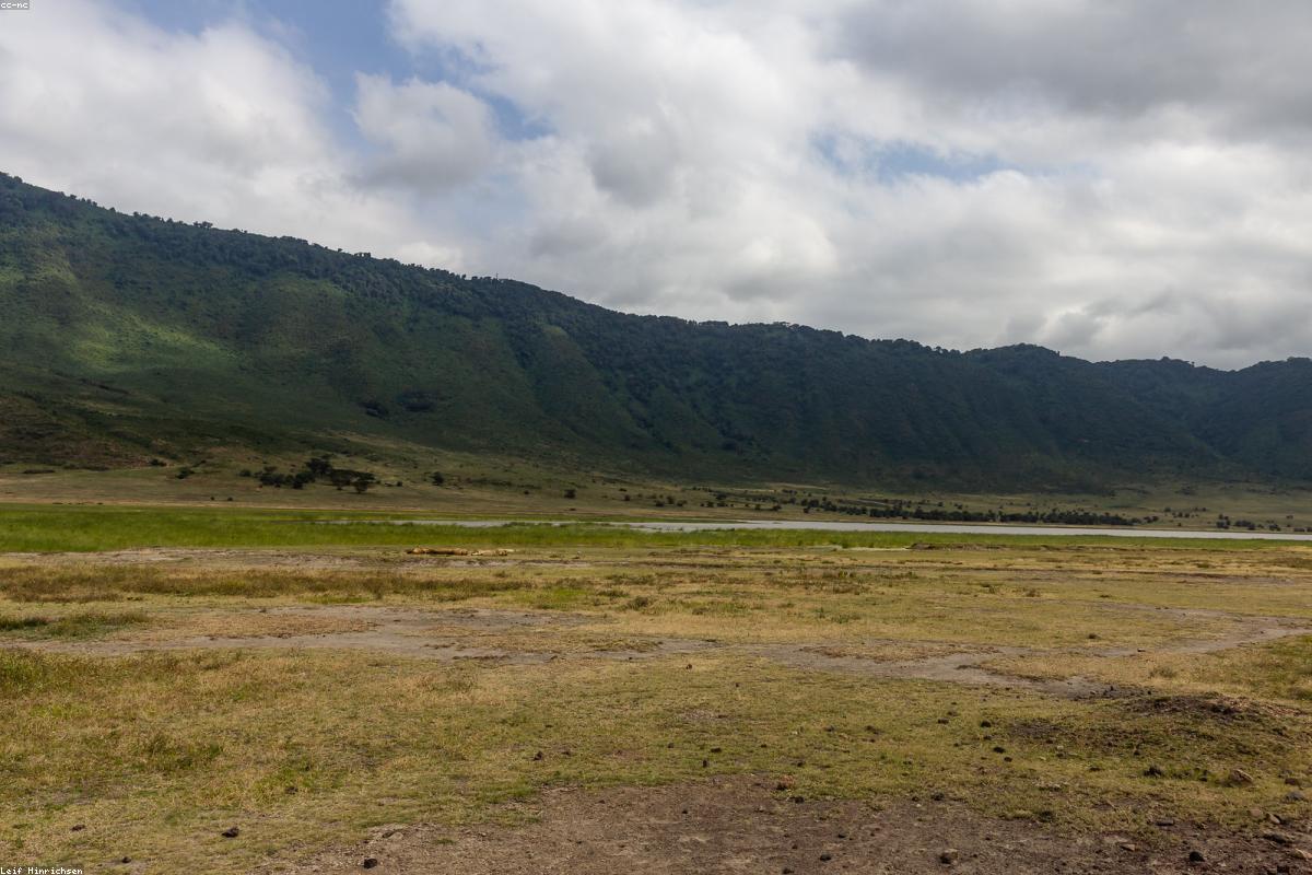 Ngorongoro crater wall panorama