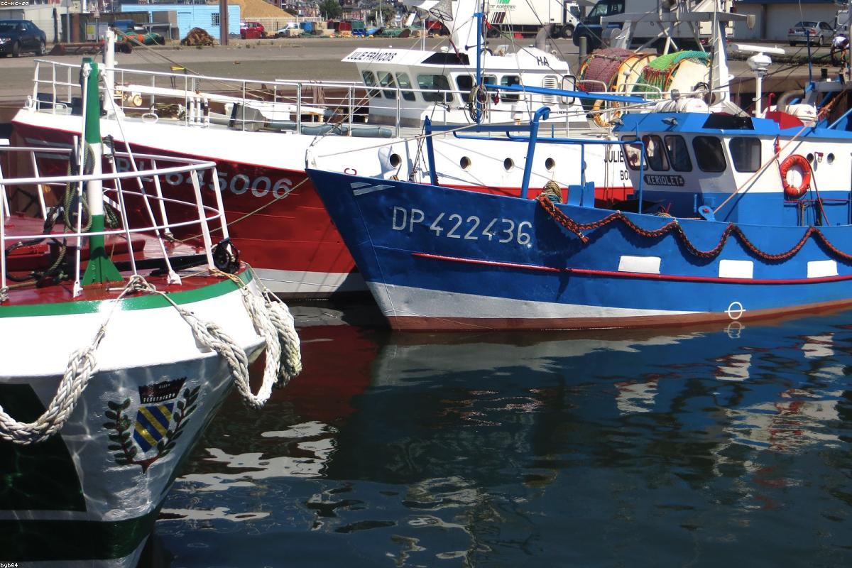 Channel with water lilies