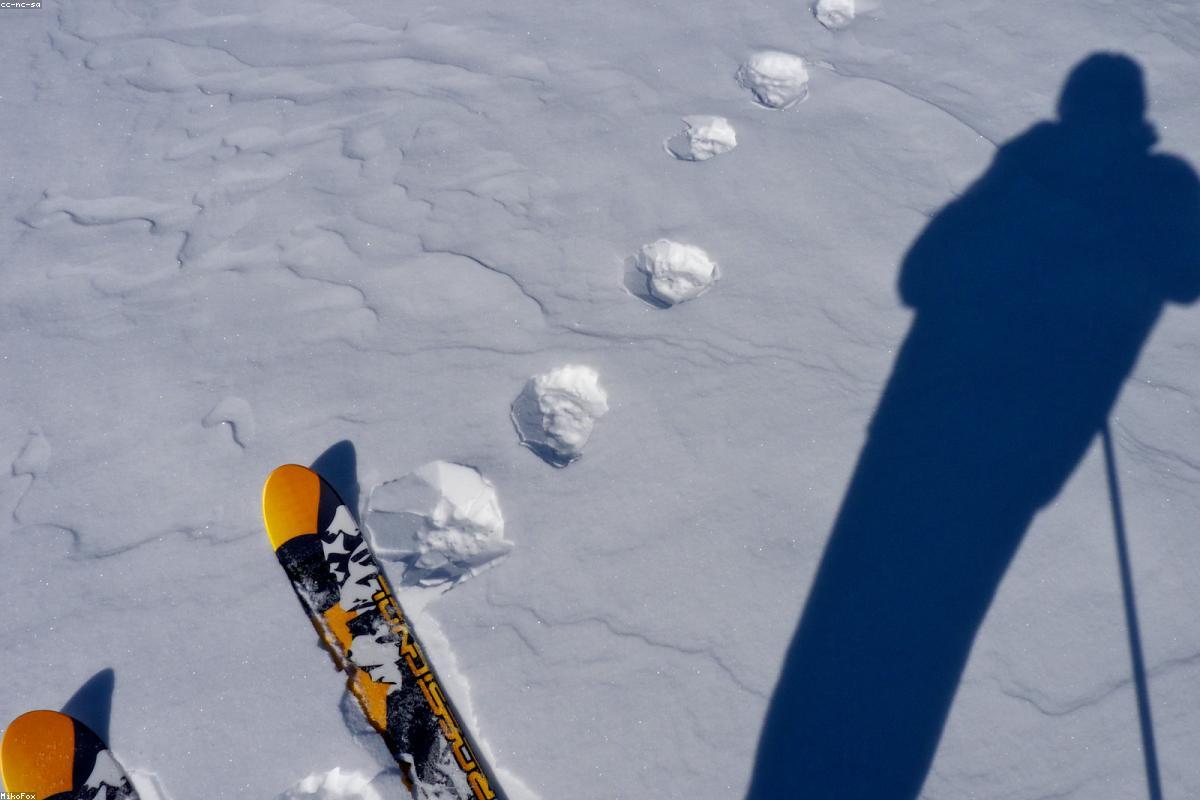 Oulanka winter tracks