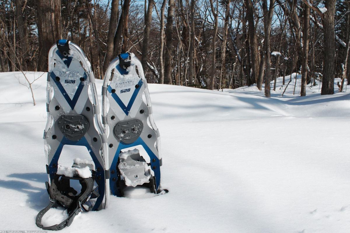 Snowshoe trail through woods