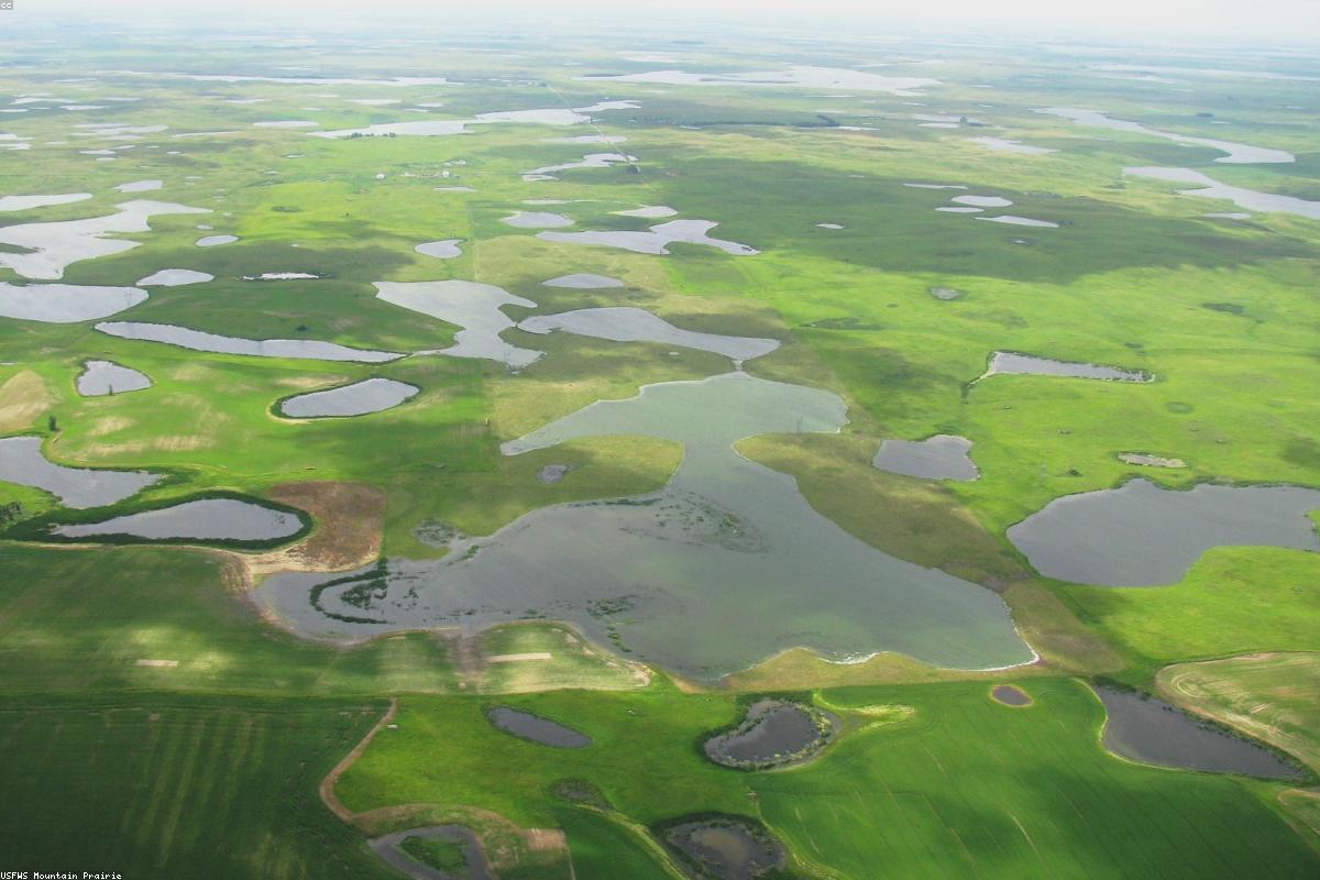 Prairie pothole with thin ice