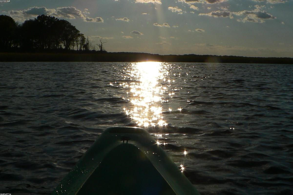 Wide view of marsh impoundment