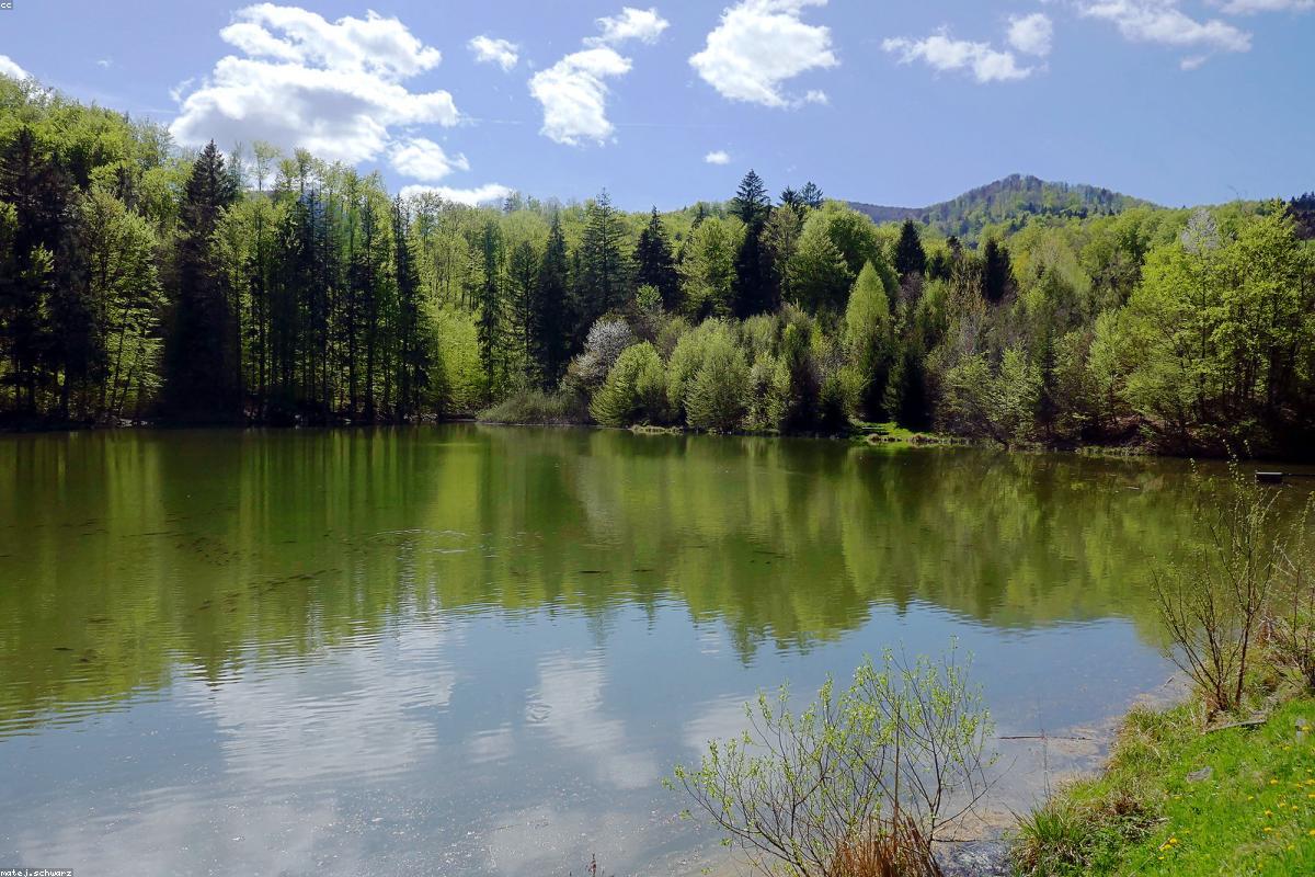 Reflection of stars on still pond