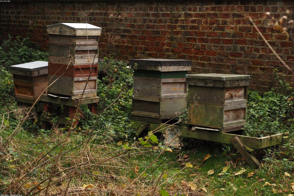 Beehive hut on monastic terrace