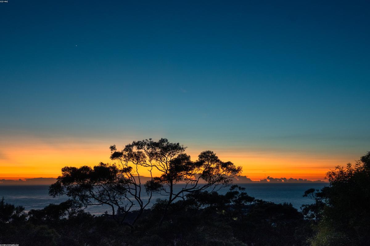Ocean at first glow