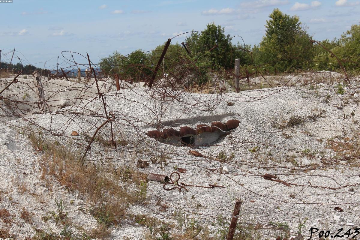 Wide view of the main impoundment at first light